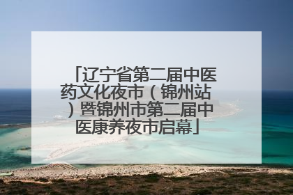 辽宁省第二届中医药文化夜市（锦州站）暨锦州市第二届中医康养夜市启幕