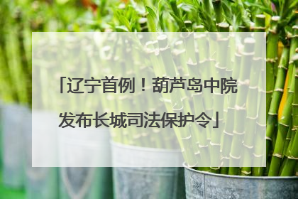 辽宁首例！葫芦岛中院发布长城司法保护令