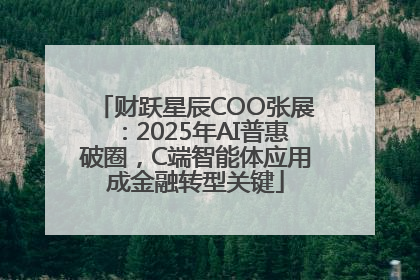 财跃星辰COO张展：2025年AI普惠破圈，C端智能体应用成金融转型关键