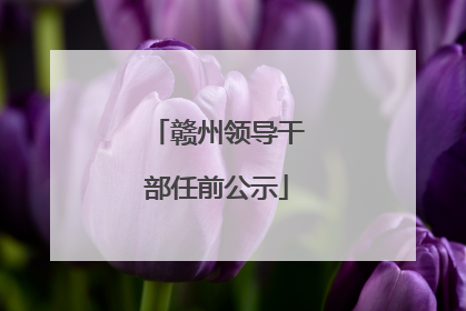 赣州领导干部任前公示