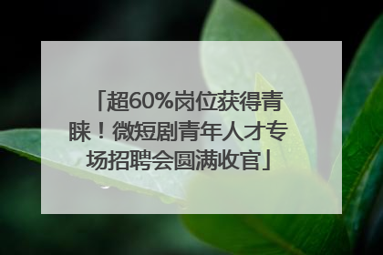 超60%岗位获得青睐！微短剧青年人才专场招聘会圆满收官