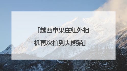 越西申果庄红外相机再次拍到大熊猫