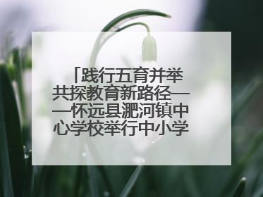 践行五育并举 共探教育新路径——怀远县淝河镇中心学校举行中小学、幼儿园班主任论坛活动