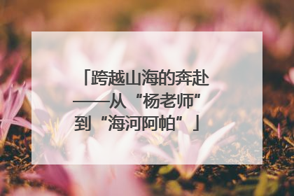跨越山海的奔赴——从“杨老师”到“海河阿帕”