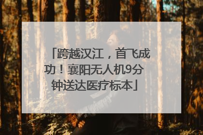 跨越汉江，首飞成功！襄阳无人机9分钟送达医疗标本