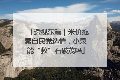 透视东瀛｜米价拖累自民党选情，小泉能“救”石破茂吗