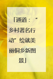 通道：“乡村著名行动”绘就美丽侗乡新图景