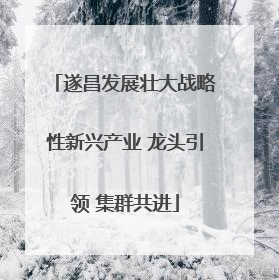 遂昌发展壮大战略性新兴产业 龙头引领 集群共进