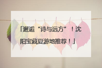 邂逅“诗与远方”！沈阳宝藏夏游地推荐！