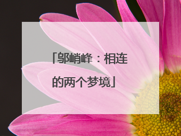 邬峭峰：相连的两个梦境
