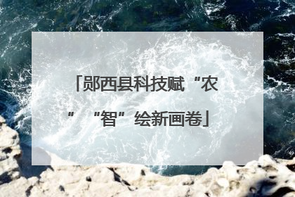 郧西县科技赋“农”“智”绘新画卷