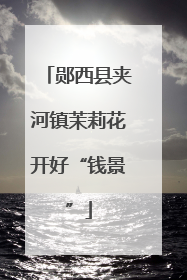 郧西县夹河镇茉莉花开好“钱景”