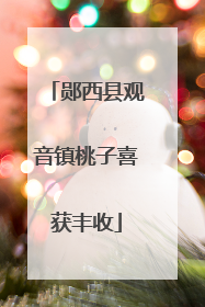 郧西县观音镇桃子喜获丰收