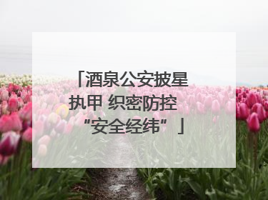 酒泉公安披星执甲 织密防控“安全经纬”