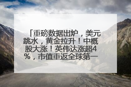 重磅数据出炉，美元跳水，黄金拉升！中概股大涨！英伟达涨超4%，市值重返全球第一！黄仁勋计划出售至多600万股股票