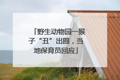 野生动物园一猴子“丑”出圈，当地保育员回应