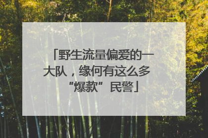 野生流量偏爱的一大队，缘何有这么多“爆款”民警