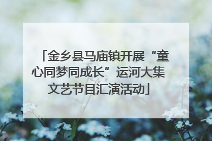 金乡县马庙镇开展“童心同梦同成长”运河大集文艺节目汇演活动
