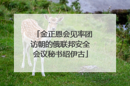 金正恩会见率团访朝的俄联邦安全会议秘书绍伊古