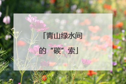 青山绿水间的“碳”索