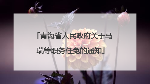 青海省人民政府关于马瑞等职务任免的通知