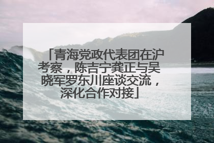 青海党政代表团在沪考察，陈吉宁龚正与吴晓军罗东川座谈交流，深化合作对接