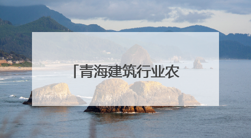 青海建筑行业农民工同台赛技能