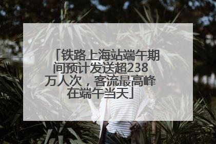 铁路上海站端午期间预计发送超238万人次，客流最高峰在端午当天