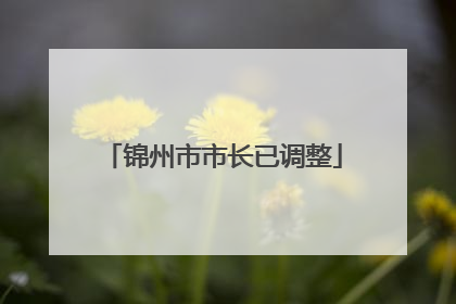 锦州市市长已调整