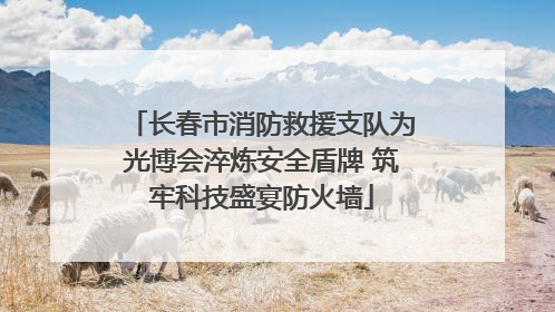 长春市消防救援支队为光博会淬炼安全盾牌 筑牢科技盛宴防火墙