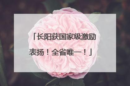 长阳获国家级激励表扬！全省唯一！