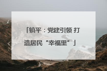 镇平：党建引领 打造居民“幸福里”