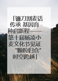 镰刀割麦话传承 基因育种启新程——第十届杨凌小麦文化节见证“颗粒归仓”时空跨越