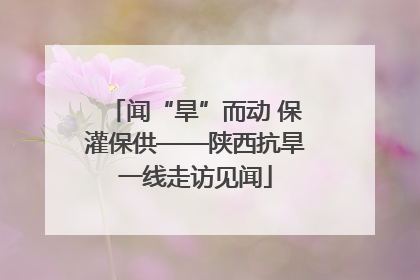 闻“旱”而动 保灌保供——陕西抗旱一线走访见闻