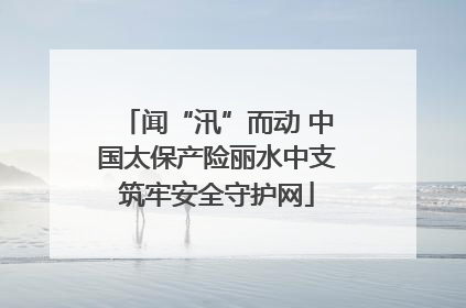 闻“汛”而动 中国太保产险丽水中支筑牢安全守护网