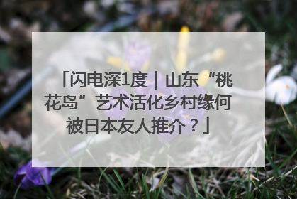 闪电深1度｜山东“桃花岛”艺术活化乡村缘何被日本友人推介？