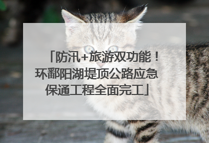 防汛+旅游双功能！环鄱阳湖堤顶公路应急保通工程全面完工
