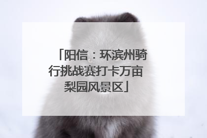 阳信：环滨州骑行挑战赛打卡万亩梨园风景区