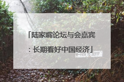 陆家嘴论坛与会嘉宾：长期看好中国经济