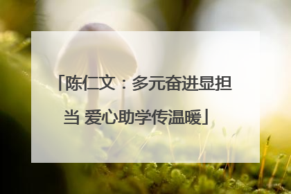 陈仁文：多元奋进显担当 爱心助学传温暖