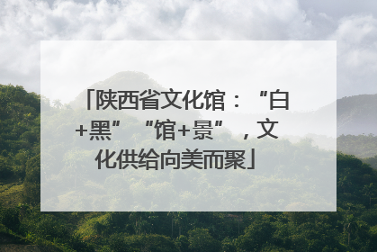 陕西省文化馆：“白+黑”“馆+景”，文化供给向美而聚