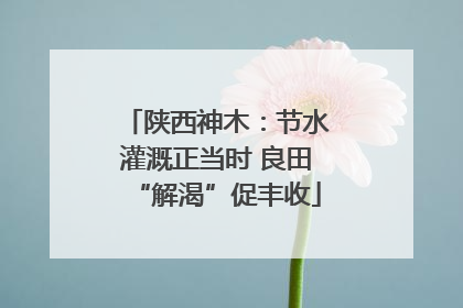 陕西神木：节水灌溉正当时 良田“解渴”促丰收