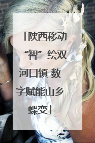 陕西移动“智”绘双河口镇 数字赋能山乡蝶变