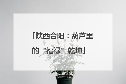 陕西合阳：葫芦里的“福禄”乾坤