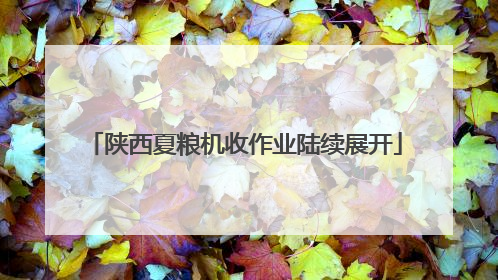 陕西夏粮机收作业陆续展开