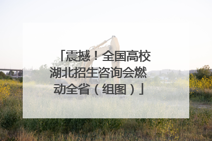 震撼！全国高校湖北招生咨询会燃动全省（组图）