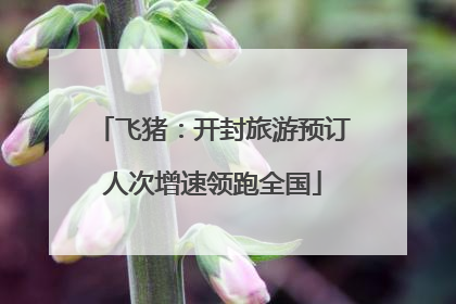 飞猪：开封旅游预订人次增速领跑全国