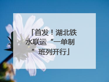 首发！湖北铁水联运“一单制”班列开行