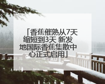 香蕉催熟从7天缩短到3天 新发地国际香蕉集散中心正式启用