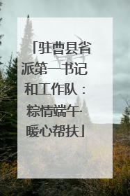 驻曹县省派第一书记和工作队：粽情端午·暖心帮扶